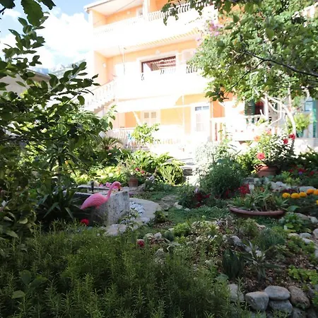 Flamingo Makarska