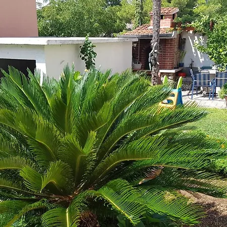 Apartment Flamingo