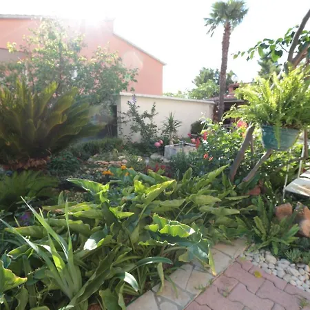 Flamingo Apartment Makarska