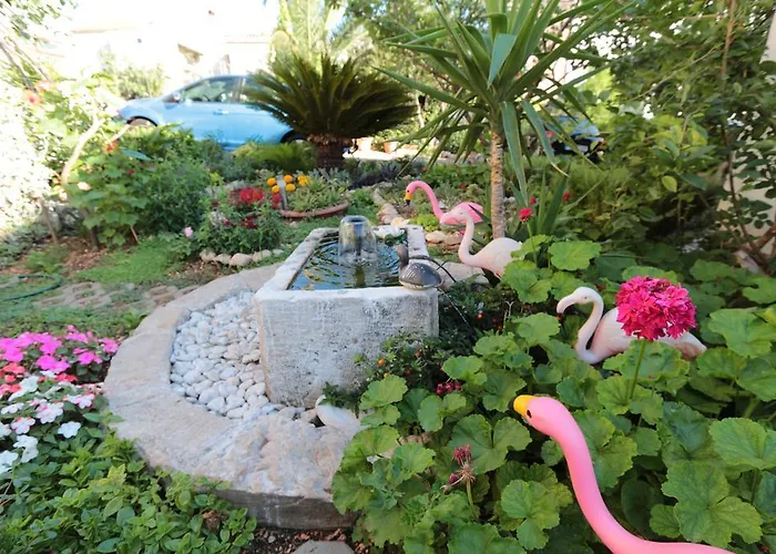 Flamingo *
